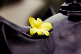 Flower Lamp Yellow