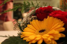 red and Yellow Bouquet Of Flowers