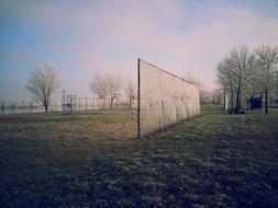 Fence Park Grass