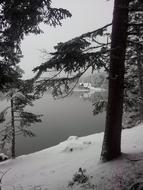 Snow Tree Lake