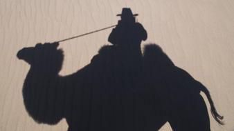 Self Portrait Camel