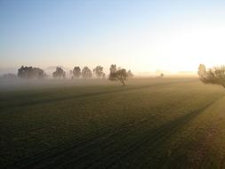 Field Fog