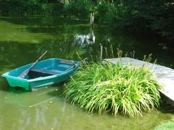 Pond Fishing