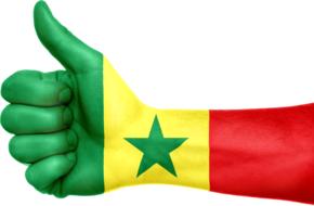 senegal flag hand national fingers