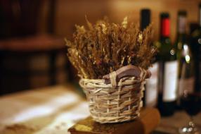 Wine Basket