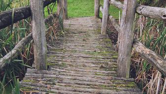 Wood Bridge