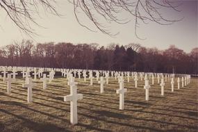 Cemetery Crosses Tombstones