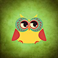 owl colorful funny