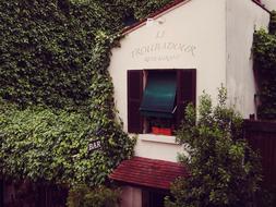 restaurant window