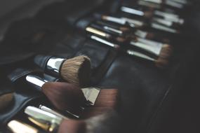 Brush Brushes Make Up