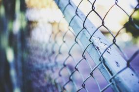 Metal Mesh Green