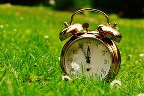 The Eleventh Hour Disaster Alarm