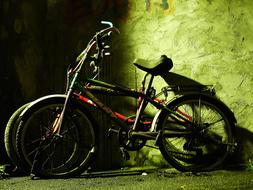 Bicycle Night Asia