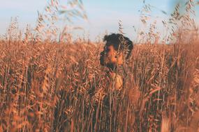 Hipster Wheat Barley