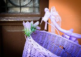 Purple Bicycle Wheel Lilac