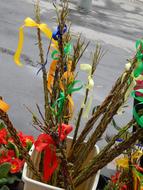 The Practice Of Whip Florist&#39;S