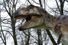 T-Rex Dinosaurs Teeth Monza