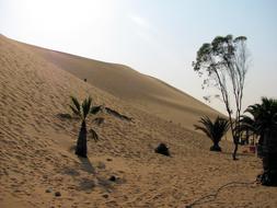 Dunes Namibia