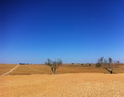 Castro Verde Beja Alentejo