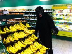 Monkey Banana Costume