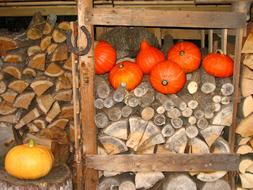 Horseshoe Wood Pile