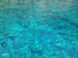 Sea