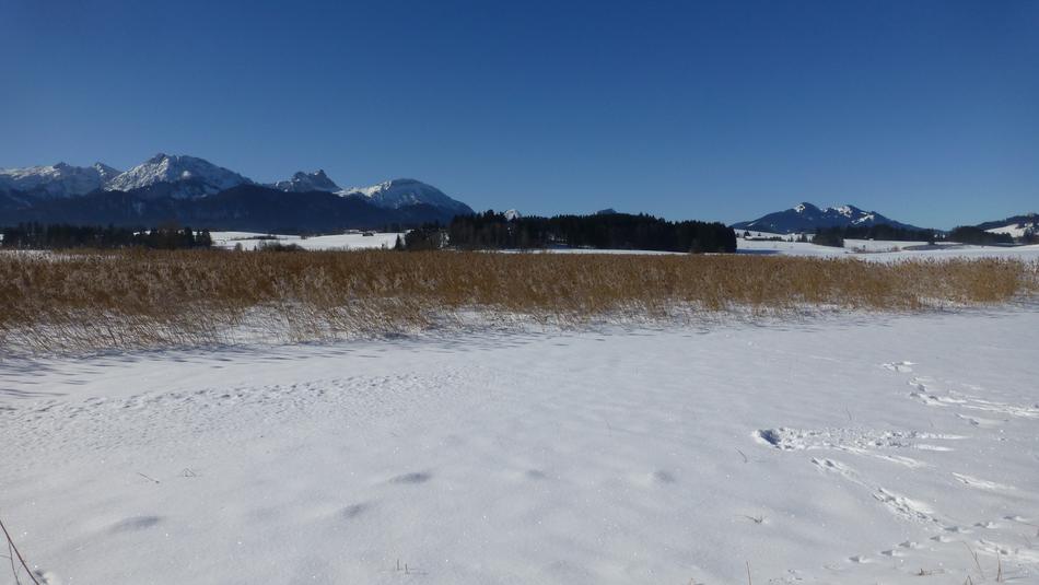 Bavaria Allgäu Lake Blue