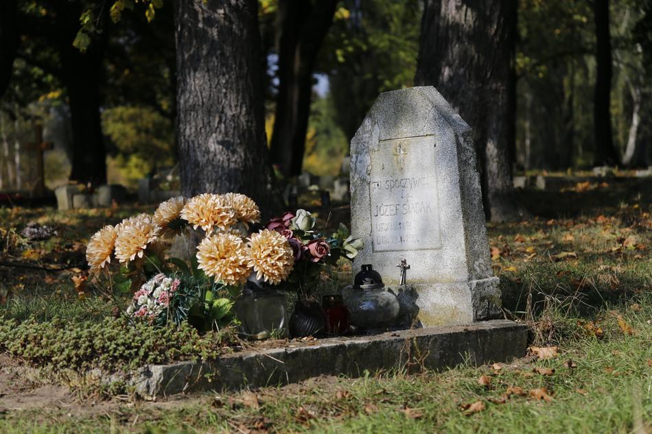 Cemetery Świerczewo World War Ii