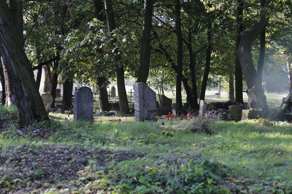 Cemetery Åwierczewo World War Ii
