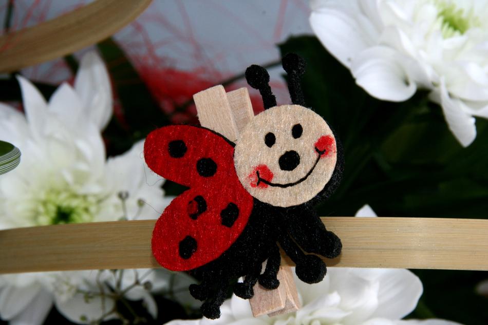 Baja Flower and bug Wings craft