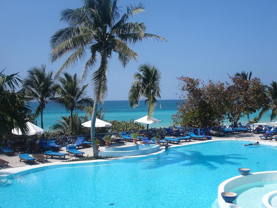 Pool Palm Tree