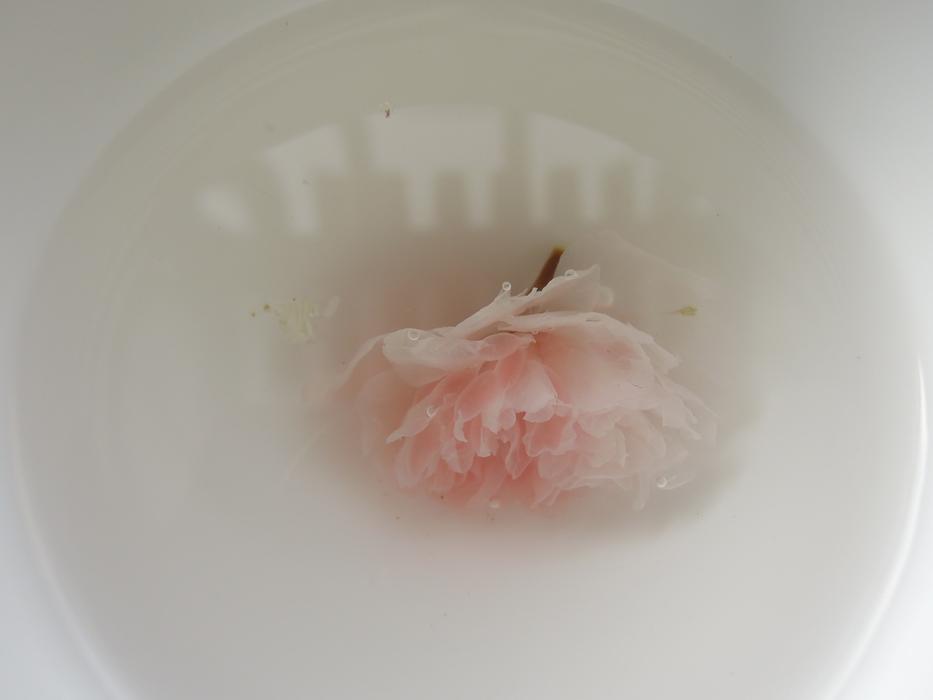 Cherry Blossoms Tea