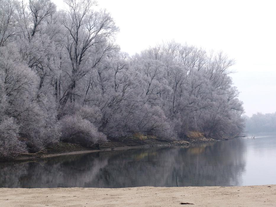 Drava Winter Ice