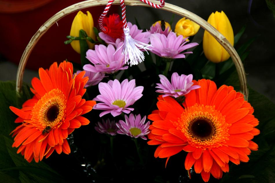 Flowers Coloring