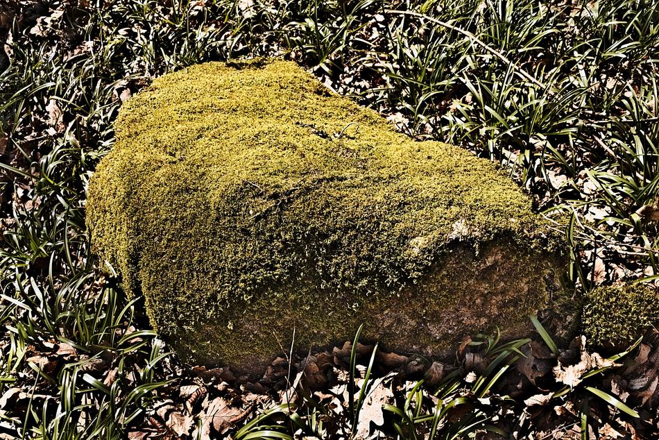 Rock Pierre Foam