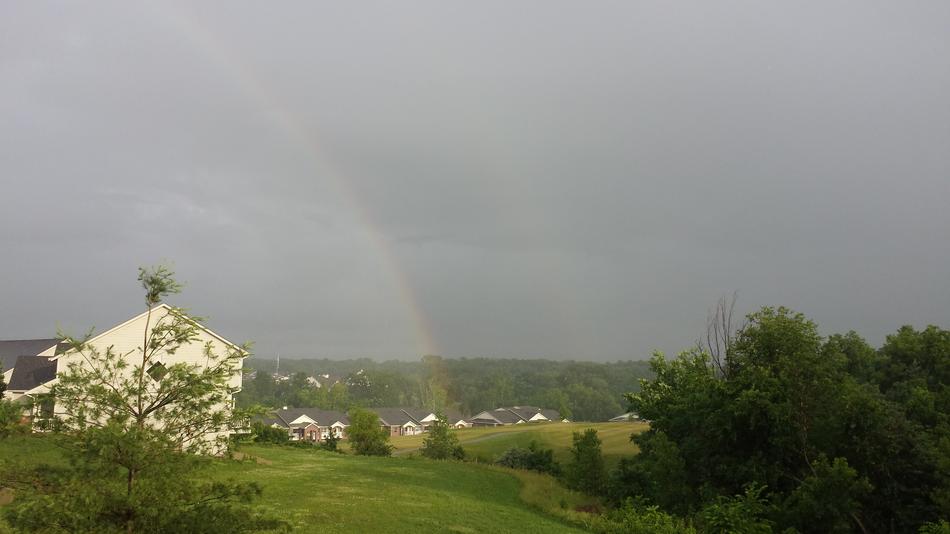 Rainbows After The storm
