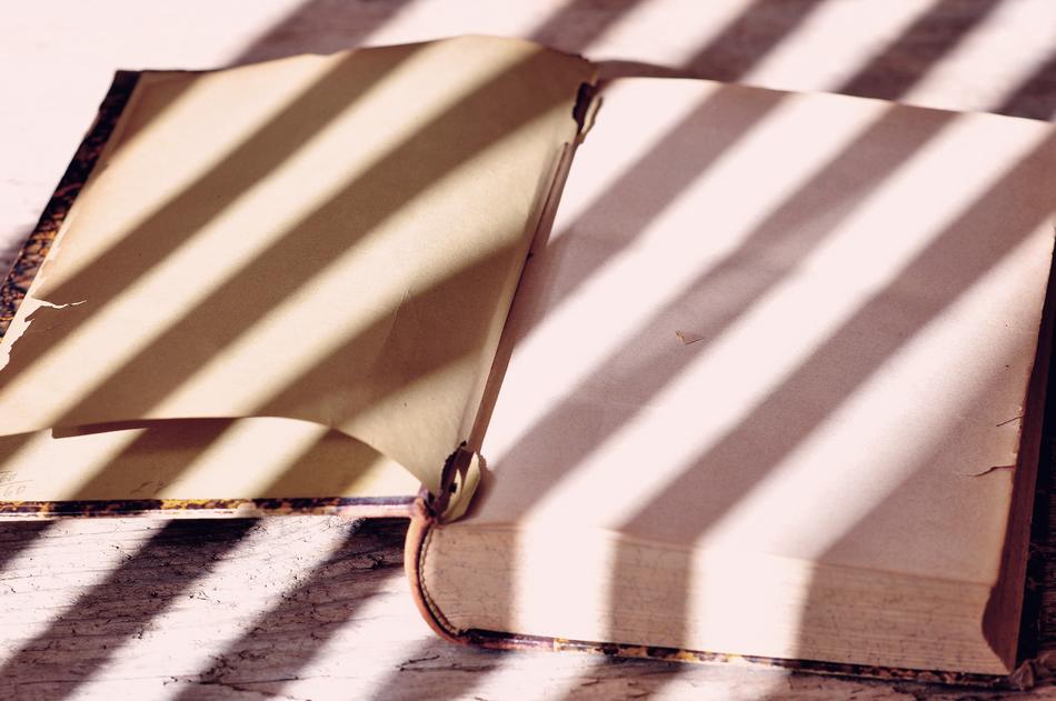 Book Old Antique
