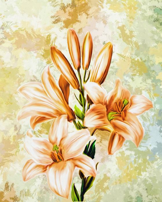 orange color lily flowers, digital art