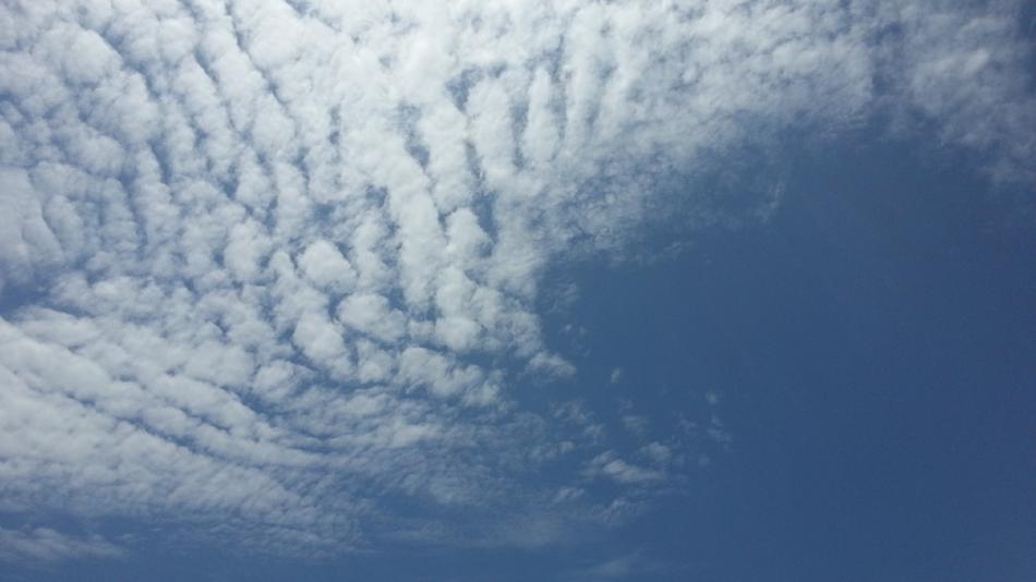 Sky Blue White