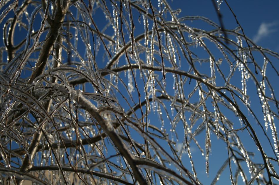 Ice Tree Sky