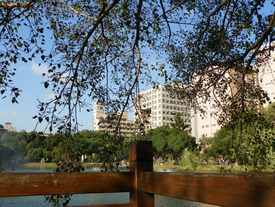 Chelsey Mu Zhan Tao After The