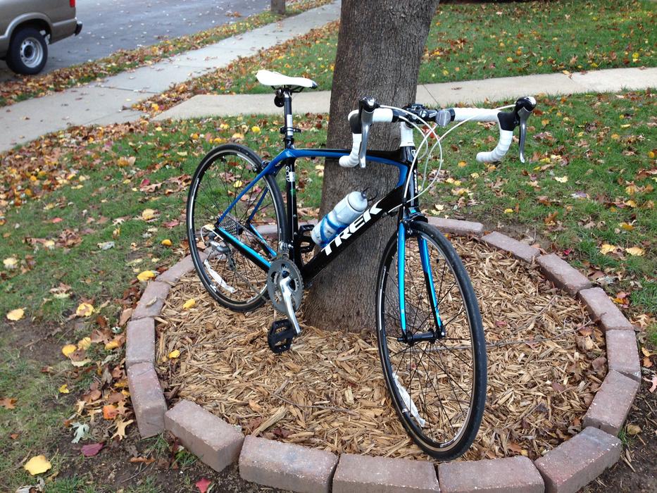 Bicycle by the tree in park