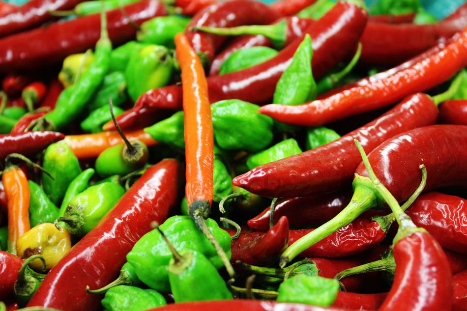 spicy chili crop