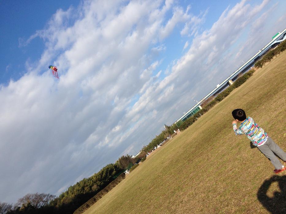 Kites Kite Lawn