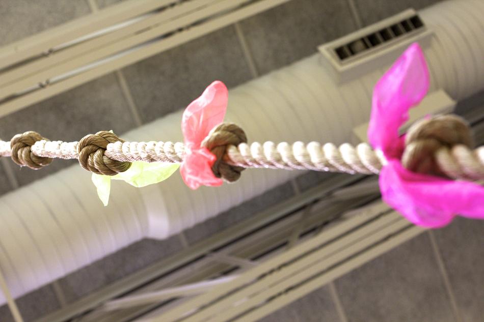 Climbing Rope