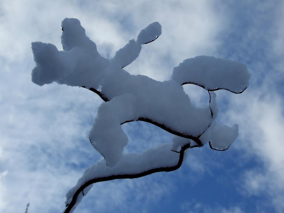 Winter Snow