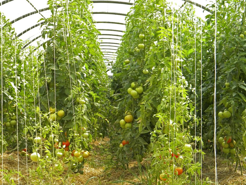 Amap Agriculture Bio