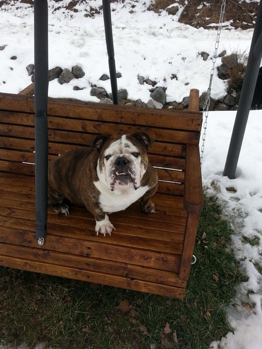 Swing Winter Weather