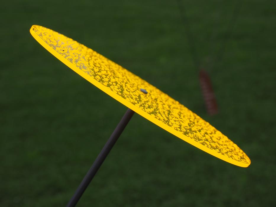 Sun Catcher Disc Round Drop Of