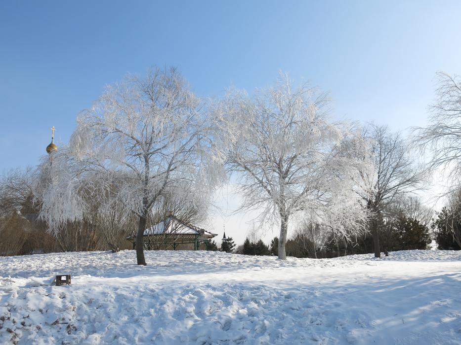 Snow And Ice Hanging Tree